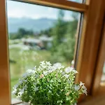 Birgbichler - In - Inklusive Sommercard! Διαμέρισμα Ramsau am Dachstein