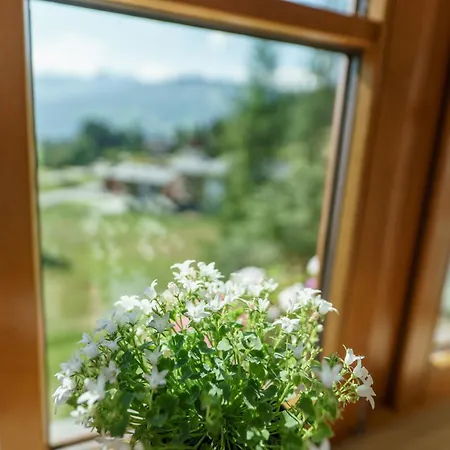 Birgbichler - Mit Bergblick - Inklusive Schladming Dachstein Card! Apartmán Ramsau am Dachstein