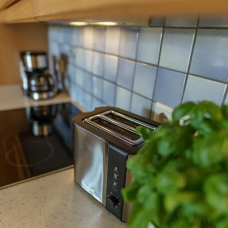 Landhaus Birgbichler - Apartments In Ramsau Am Dachstein - Schladming Dachstein *