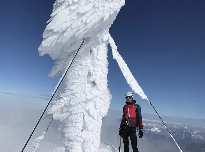 아파트 Landhaus Birgbichler - Apartments In Ramsau Am Dachstein - Inklusive Sommercard! 람자우 암 다흐스타인